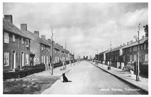 Gelevinkstraat_1952_zicht_vanaf_Venneperstraat